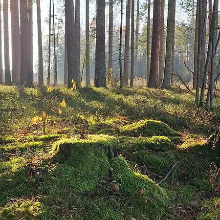 Na Mazurach - Barn * Soltmany