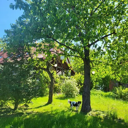 Barn - Na Mazurach Soltmany