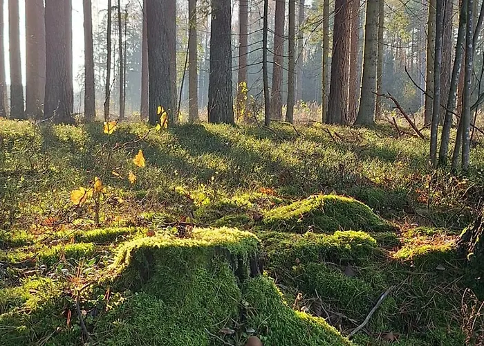 Na Mazurach - Barn * Soltmany