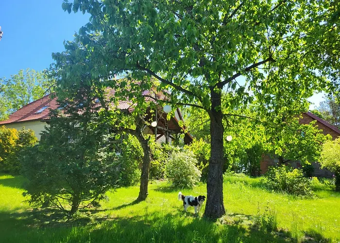 Na Mazurach - Barn 1 Soltmany